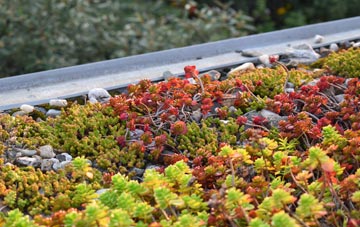 the cost of Wolfsdale green roof installation