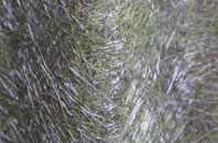 Wolfsdale fibreglass roof work